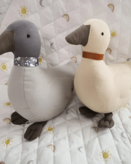 Duck